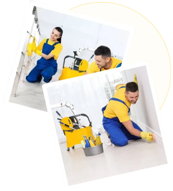Best Cleaners for Offices Flats Houses in Canada
