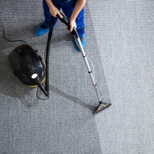 1 room carpet cleaning 