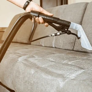 seater Sofa cleaning service png