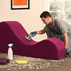Love seat cleaning service png