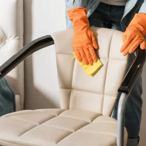 Recliner Chair Cleaning service png