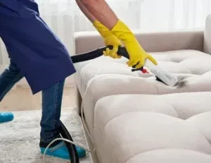 Sectional person